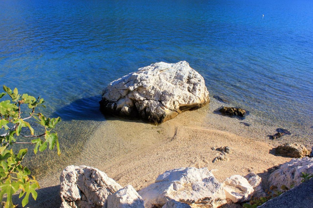 Apartments And Rooms By The Sea Slano, Dubrovnik - 8737 Eksteriør billede